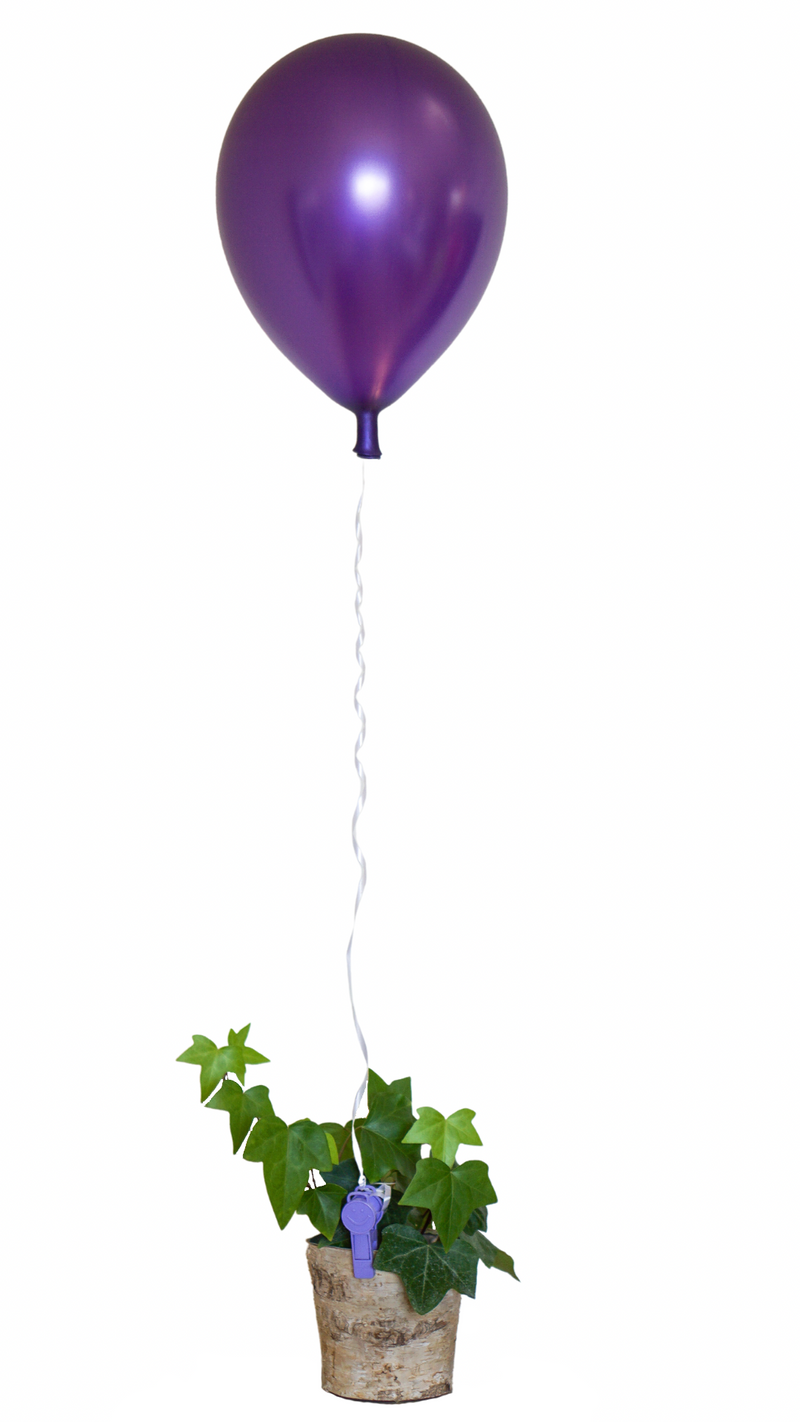 9-gram Happy Clip™ - Pastel Assortment Balloon Weight Clip