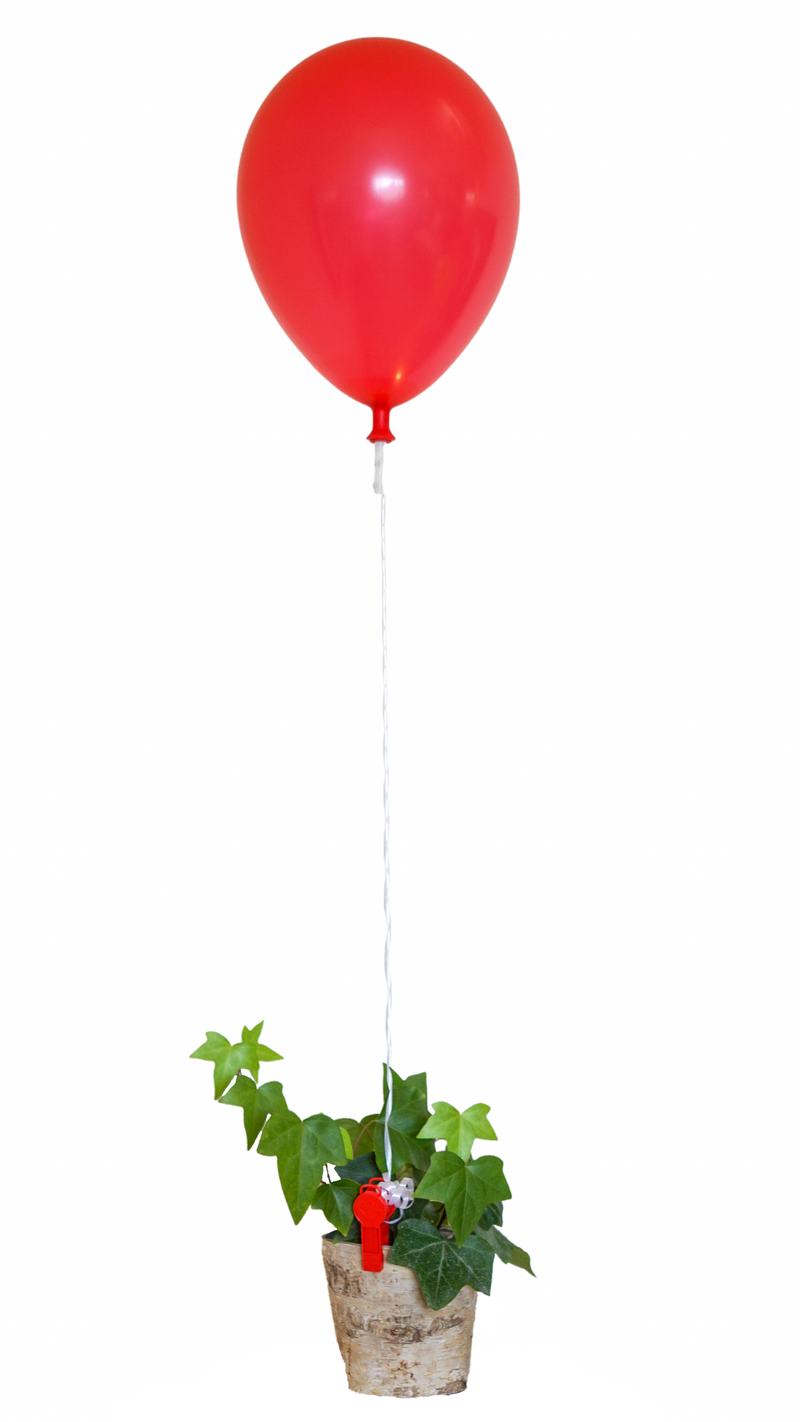 9-gram Happy Clip™ - Primary-Plus Assortment Balloon Weight Clip